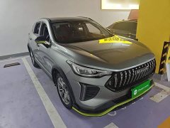 Haval Chitu Jingxiang Edition 1.5T Purple Copper Rabbit - ფოტო 4