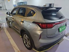 Haval Chitu Jingxiang Edition 1.5T Purple Copper Rabbit - ფოტო 5