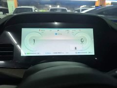 BYD Dolphin 2023 DM-i 1.5L 121km Luxury - ფოტო 12