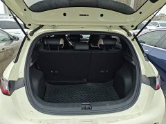 BYD Dolphin 2023 420km Fashion Edition - ფოტო 19