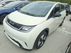 BYD Dolphin 2023 420km Fashion Edition - ფოტო 2
