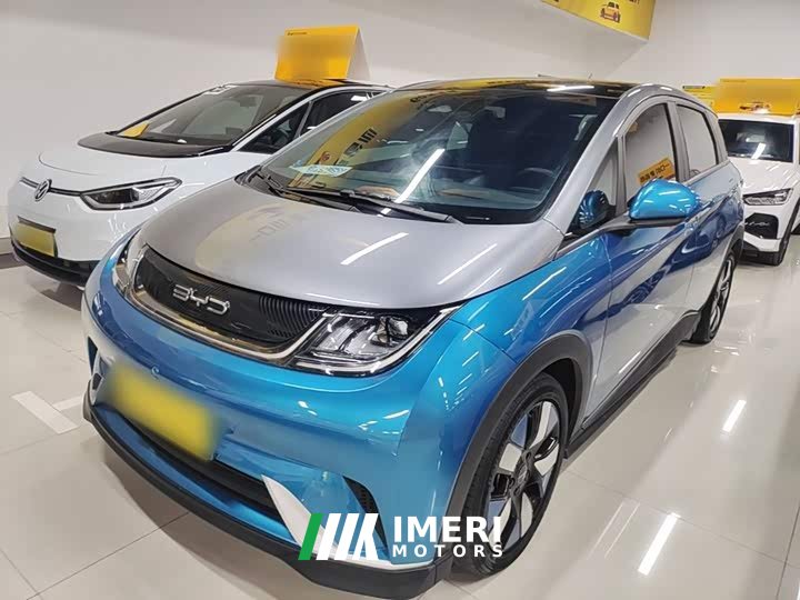 BYD Dolphin 401km Knight Edition