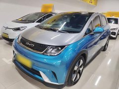 BYD Dolphin 401km Knight Edition - ფოტო 2