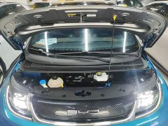 BYD Dolphin 401km Knight Edition - ფოტო 20