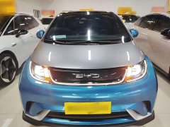 BYD Dolphin 401km Knight Edition - ფოტო 3