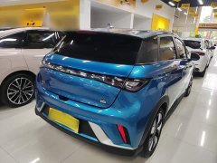 BYD Dolphin 401km Knight Edition - ფოტო 7