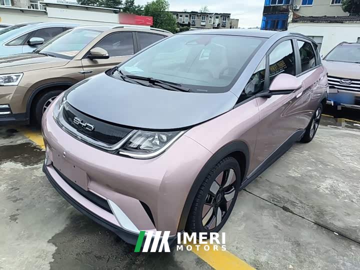BYD Dolphin 401km Knight Edition - ავტომობილი ჩინეთიდან