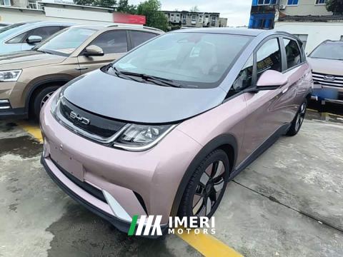 2022 BYD Dolphin 401km Knight Edition