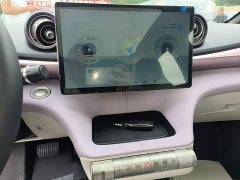 BYD Dolphin 401km Knight Edition - ფოტო 13