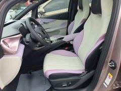 BYD Dolphin 401km Knight Edition - ფოტო 15
