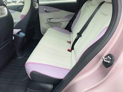BYD Dolphin 401km Knight Edition - ფოტო 17
