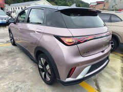 BYD Dolphin 401km Knight Edition - ფოტო 5