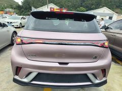 BYD Dolphin 401km Knight Edition - ფოტო 6