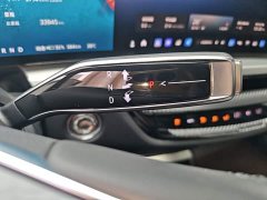 Cadillac IQ Sharp Song 2022 Rear-Wheel Drive Long Range Luxury - ფოტო 14