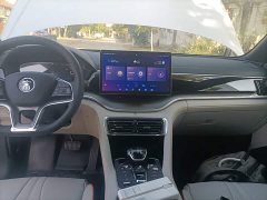 BYD Song Plus New Energy 2021 DM-i 110KM Flagship Plus - ფოტო 13