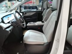 Buick GL8 Luzun Respect Edition - ფოტო 15