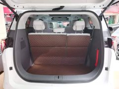 Buick GL8 Luzun Respect Edition - ფოტო 19
