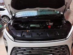 Buick GL8 Luzun Respect Edition - ფოტო 20