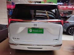 Buick GL8 Luzun Respect Edition - ფოტო 6