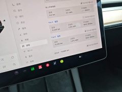 Tesla Model 3 Facelift Standard Range RWD Upgrade 3D1 - ფოტო 12
