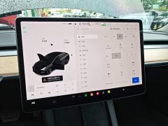 Tesla Model 3 Facelift Standard Range RWD Upgrade 3D1 - ფოტო 13