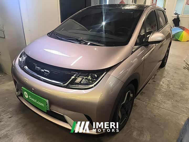 BYD Dolphin 405km Fashion Edition - ავტომობილი ჩინეთიდან