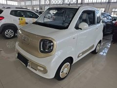 FAW Besturn Xiaoma 170km Vitality Edition - ფოტო 2