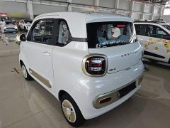 FAW Besturn Xiaoma 170km Vitality Edition - ფოტო 5