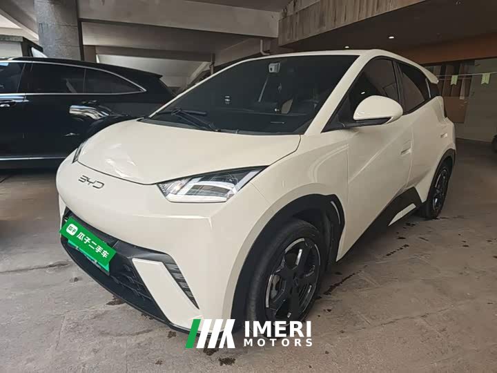 BYD Seagull Glory Edition 305km Freedom Version - ავტომობილი ჩინეთიდან