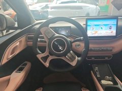 BYD Seagull Glory Edition 305km Freedom Version - ფოტო 11