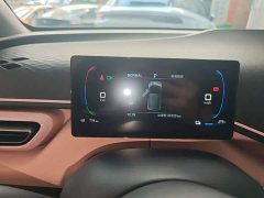 BYD Seagull Glory Edition 305km Freedom Version - ფოტო 12