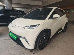 BYD Seagull Glory Edition 305km Freedom Version - ფოტო 2