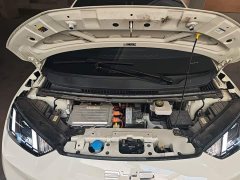 BYD Seagull Glory Edition 305km Freedom Version - ფოტო 20