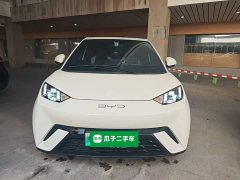 BYD Seagull Glory Edition 305km Freedom Version - ფოტო 3