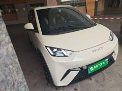 BYD Seagull Glory Edition 305km Freedom Version - ფოტო 4