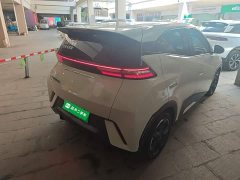 BYD Seagull Glory Edition 305km Freedom Version - ფოტო 7