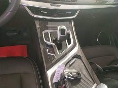 Geely Jiangji 1.8T Diesel DCT Luxury - ფოტო 14