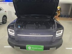 Haval Manlong New Energy Hi4 150 Pro LFP - ფოტო 20