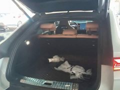 BYD Song L EV 662km Excellence Edition - ფოტო 19
