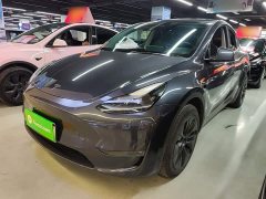 Tesla Model Y Long Range All-Wheel Drive - ფოტო 1