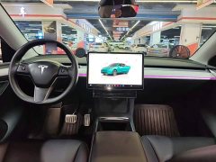 Tesla Model Y Long Range All-Wheel Drive - ფოტო 10