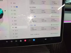 Tesla Model Y Long Range All-Wheel Drive - ფოტო 12