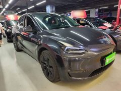 Tesla Model Y Long Range All-Wheel Drive - ფოტო 4