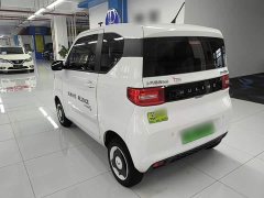 Wuling Hongguang MINIEV 2022 Zizai Edition LFP Battery - ფოტო 5