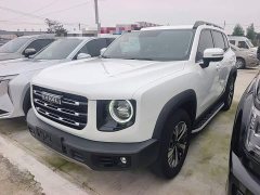Great Wall Dachshund 2021 1.5T DCT Two-Wheel Drive Labrador Edition - ფოტო 1