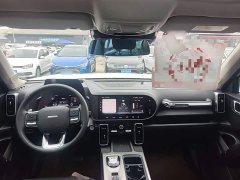 Great Wall Dachshund 2021 1.5T DCT Two-Wheel Drive Labrador Edition - ფოტო 10