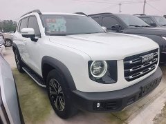 Great Wall Dachshund 2021 1.5T DCT Two-Wheel Drive Labrador Edition - ფოტო 4
