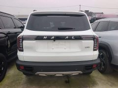 Great Wall Dachshund 2021 1.5T DCT Two-Wheel Drive Labrador Edition - ფოტო 6