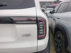 Great Wall Dachshund 2021 1.5T DCT Two-Wheel Drive Labrador Edition - ფოტო 8