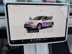 Tesla Model Y Long Range All-Wheel Drive - ფოტო 12